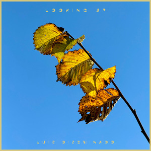 逼逼爱插插午夜景院
